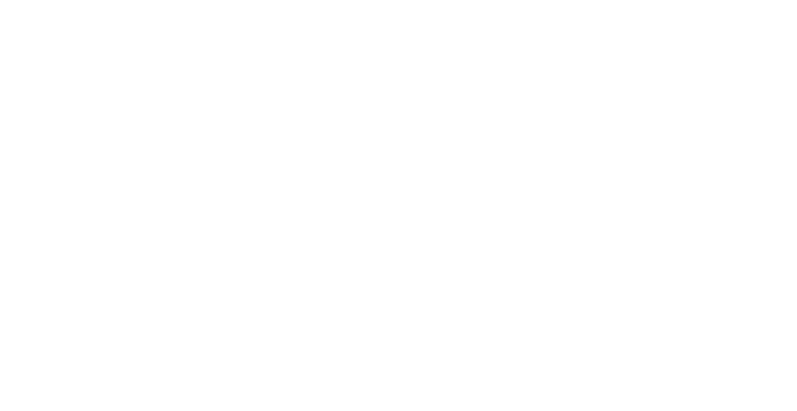 Bear Projects